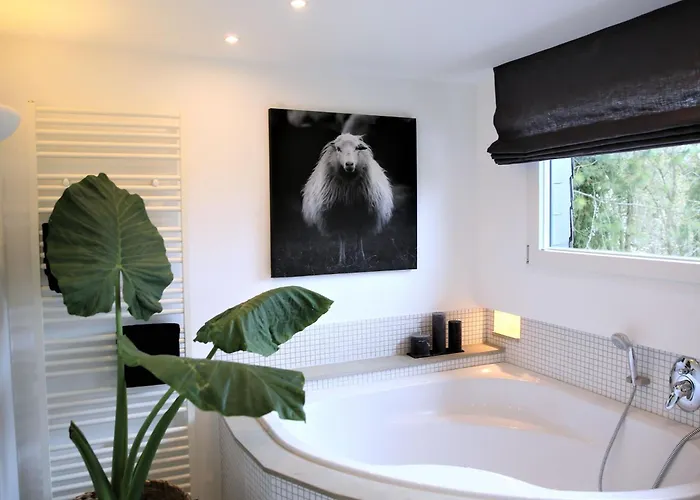 N7quartier بيت للعطل باد مونستريفل